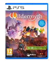 Wildermyth Playstation 5 kaina