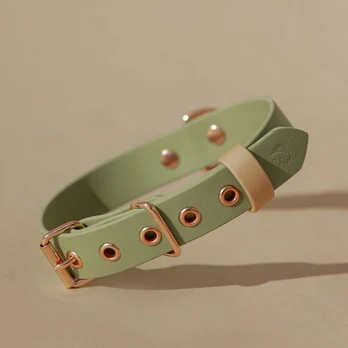 Biotano antkaklis | OLIVE