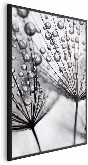 Artgeist Plakatas - Macro Dew