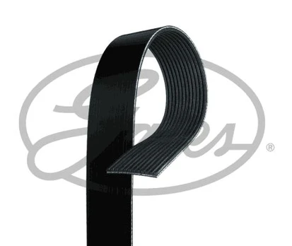V formos rumbuoti diržai GATES 12PK1815HD