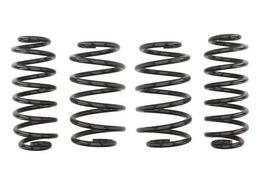 Žeminanti spyruoklė (30/30 mm) Pro-Kit (4 vnt.) E10-85-022-01-22
