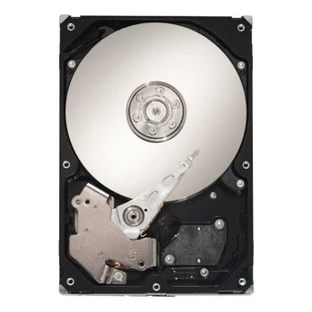 Kietasis diskas (HDD) Seagate ST3300656SS-RFB, 2.5", 300 GB