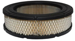 Oro filtras tinkantis Briggs & Stratton Vanguard 692519