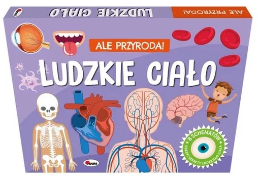 Morex Ale przyroda ludzkie ciało 15482