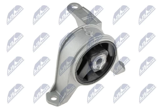 Variklio montavimas NTY ZPS-PL-001