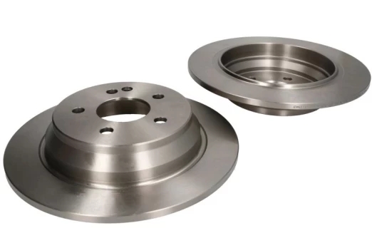 DELPHI BG3969 Brake Disc