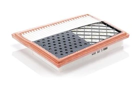 MANN-FILTER C 25 004 Oro filtras