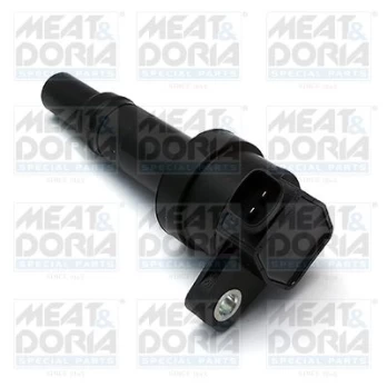 Ritė, uždegimas MEATDORIA 10625
