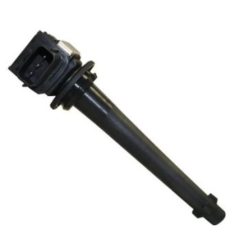 Ritė, uždegimas HITACHI 133863