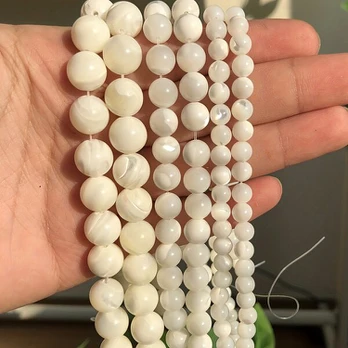 Kriauklių karoliukai, 10mm About 36pcs Beads