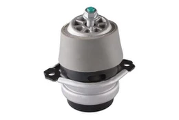 Variklio montavimas TEDGUM 00728486
