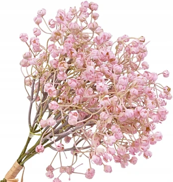 Dirbtinės Gipsų Šakelės, 6 Vnt., 31 cm, Rožinės