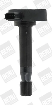 Ritė, uždegimas BorgWarner (BERU) ZSE166