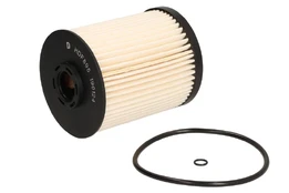Kuro filtras DELPHI HDF895 kaina