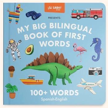 My Big Bilingual Book of First Words