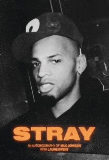 Stray 