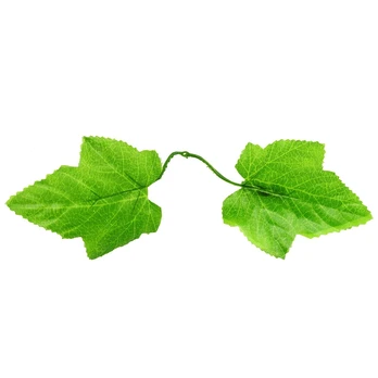 Lapeliai puokštėms