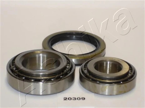 Rato guolio komplektas ASHIKA 44-20309