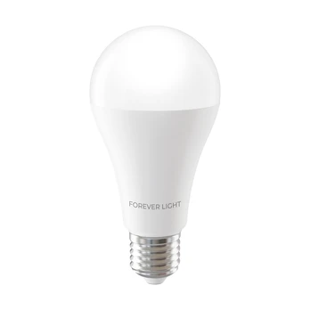 Telforceone Forever Light LED Bulb E27 A65 17W 2100lm 4000K class E