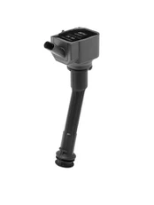 Ritė, uždegimas BorgWarner (BERU) ZSE260