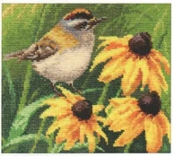 Beldizart Goldcrest S1-21 kaina