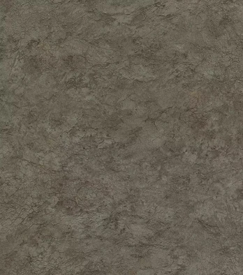 Tapetai Rasch 497564, viniliniai, pilka sp.