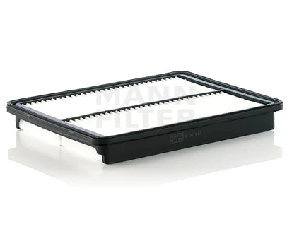 Oro filtras C30017