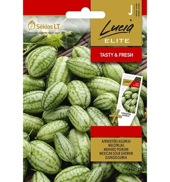 Agurkai afrikietiški Lucia Elite 20 s