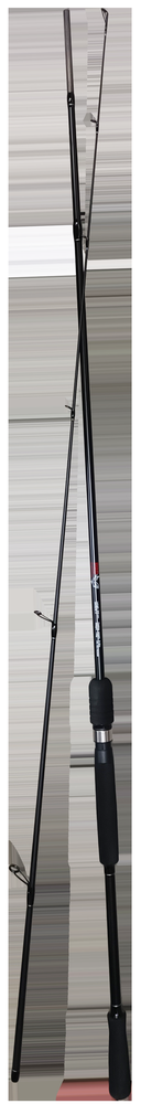 Spiningas 240cm "Pro Catch