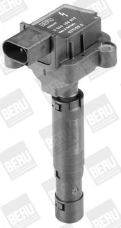 Ritė, uždegimas BorgWarner (BERU) ZS077