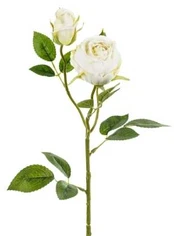Party Deco Lys creme rose, 1 stk