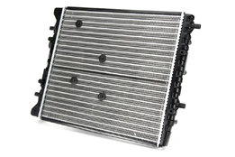 Variklio radiatorius THERMOTEC D7S005TT kaina
