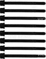 REINZ 14-32054-01 Cylinder head bolt set kaina