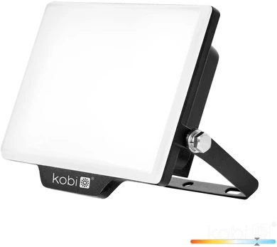 30W LED prožektorius DELYO MHN, juodas, 6000K, IP65