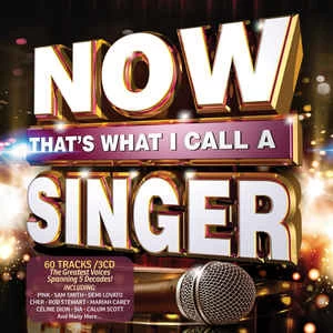 CD Various - Now That's What I Call A Singer