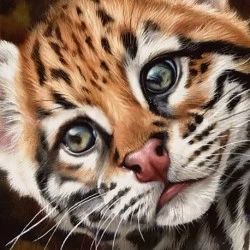 Deimantinis paveikslas Ocelot Kitten WD2427