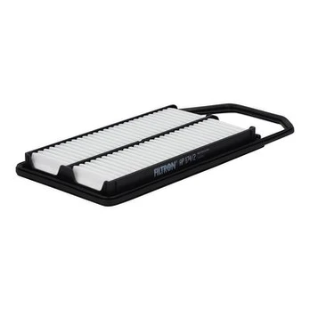Oro filtras FILTRON AP 174/2
