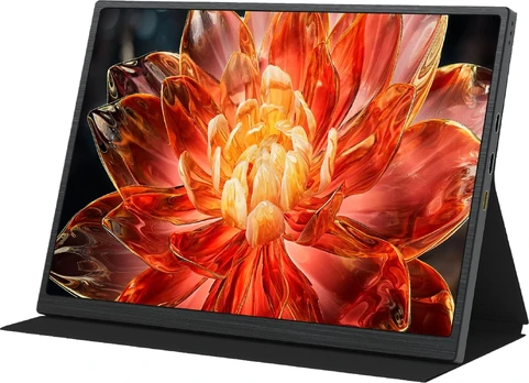 Monitorius Zeuslap Z10P
