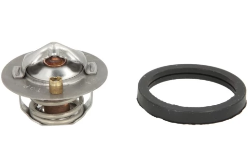 termostatas, aušinimo skystis THERMOTEC D2G005TT