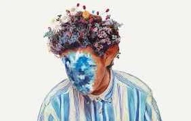 CD Hobo Johnson - The Fall of Hobo Johnson