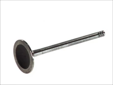 FRECCIA 4881/S Inlet valve kaina