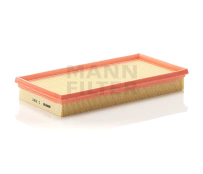 Oro filtras C3083