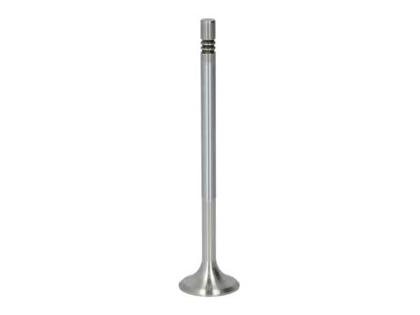 FRECCIA 6756/BMCR Exhaust valve