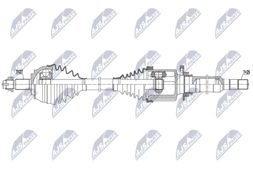 Pusašis NTY NPW-AR-024