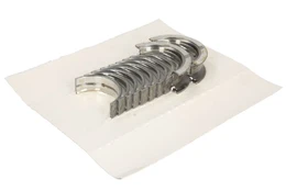 GLYCO H1295/5 STD Main bearing set kaina