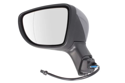 BLIC 5402-09-2002103P Wing mirror