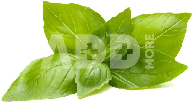 Citrininis bazilikas Smart Garden Click & Grow, 3 vnt