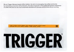 Trigger - Ethiopia Gera Washed Filter 250 g