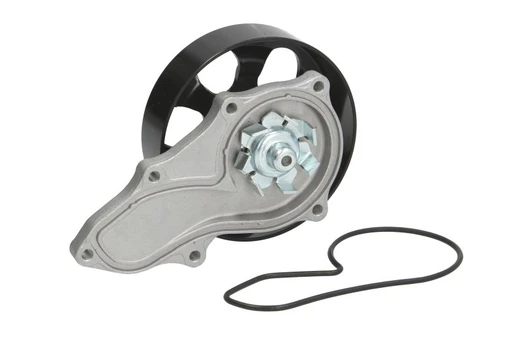 Aušinimo skysčio siurblys MAGNETI MARELLI 352316170459