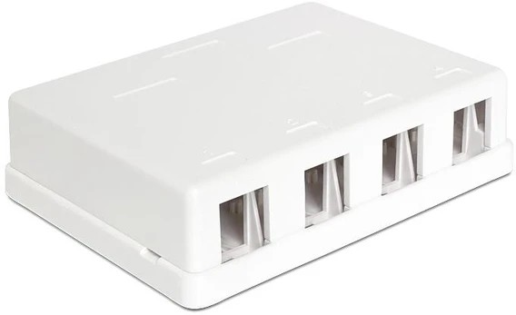 Delock KEYSTONE FX4-MULTI JUNGČIŲ TST KORUSAS